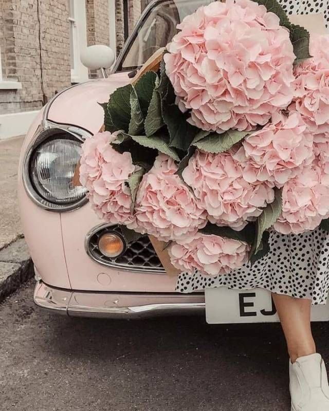 InBloomLingerie's tweet image. Blooming beauty meets vintage charm! 🌺🚗 #PinkHydrangeas #VintageCar #FloralVibes #RetroStyle #PastelDream #CarLovers #GardenGoals #ClassicCars #FlowerPower #VintageVibes