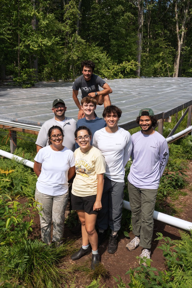 JosephTumber's tweet image. The Tumber-Dávila Lab is REALLY happy to have finished with helping set-up the CLIFF experiment and doing ALL of our soil coring at the site for the summer!
Been a crazy busy field season, and now we transition to working in the swamps
Kudos to all REUs & trainees