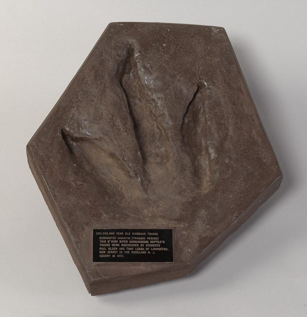 archivesfdn's tweet image. From dino footprints🦖 to Rosie the Riveter💪🏻, patents to presidential gifts—the @usnatarchives holds over 40 billion records that tell America’s story. Dive into the breadth of our history and vote for your favorite in America’s #100Docs: archivesfoundation.org/newsletter/ame…