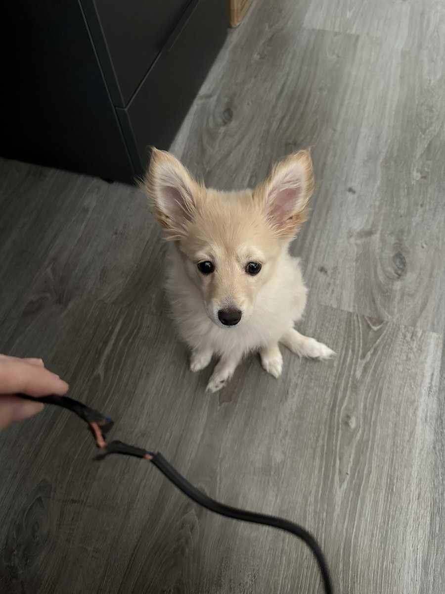 "Yo no he sido, te lo juro"