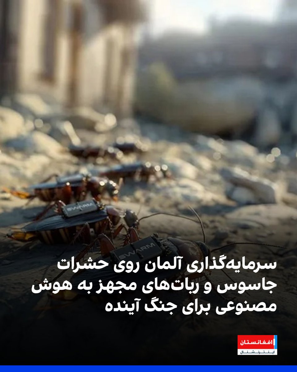 AFIntlBrk's tweet image. با افزایش تنشهای ژئوپولیتیک و تردید نسبت به حمایت نظامی امریکا، آلمان در حال توسعه سریع صنایع دفاعی نوآورانه است و شرکتهای نوپا را به خط مقدم تحولات جنگی با فناوریهای پیشرفته مانند حشراتی چون کیکهای سایبورگ و رباتهای خودران سوق میدهد.
خبرگزاری رویترز چهارشنبه اول اسد گزارش…