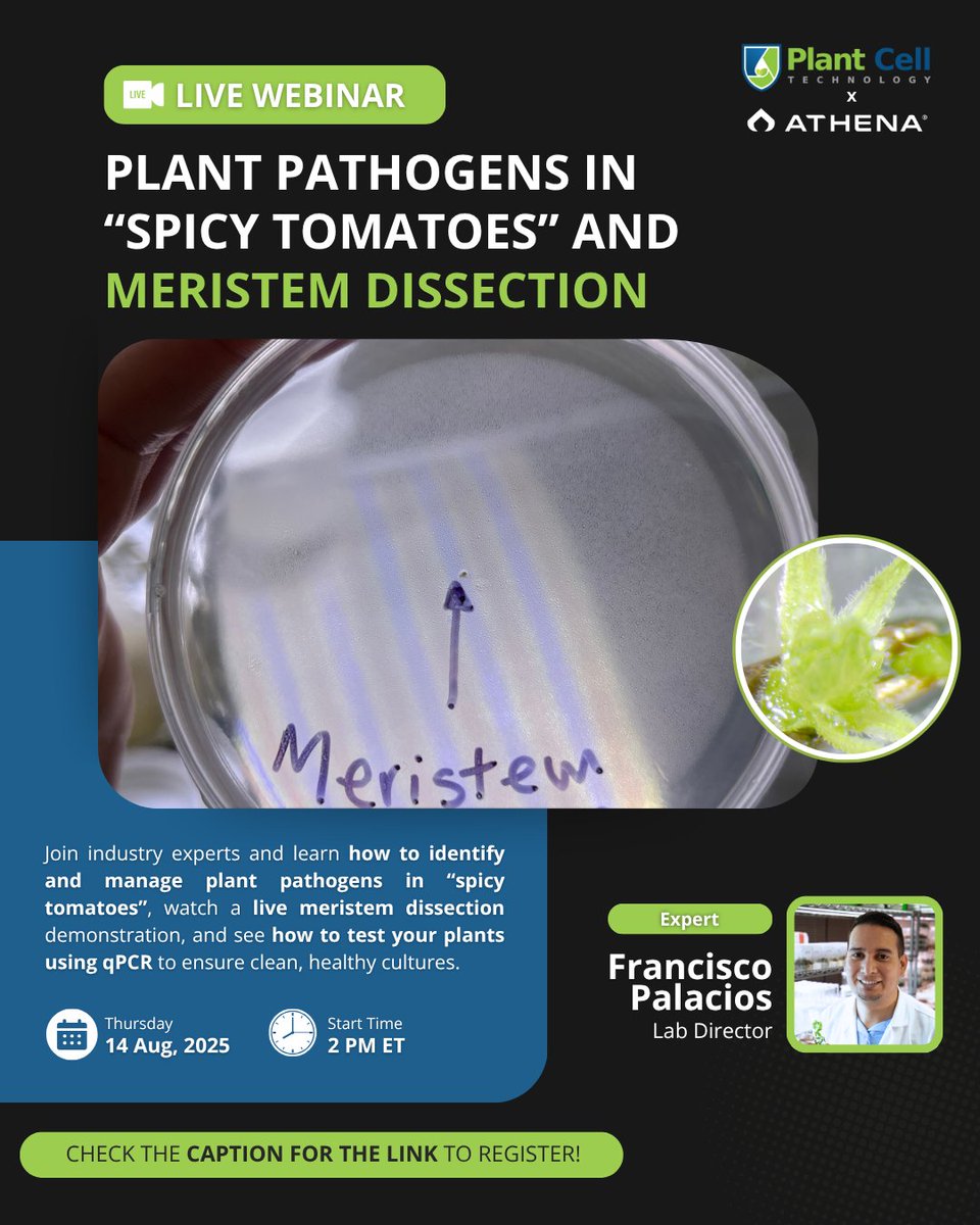 Dealing with sick cannabis plants? Not sure how to save your genetics?

It’s time to get answers—straight from the lab.

Join Lab Director &amp; Tissue Culture Expert Francisco Palacios for a free live webinar on:

🔬 Identifying &amp; managing plant pathogens
✂️ Live meristem dissection