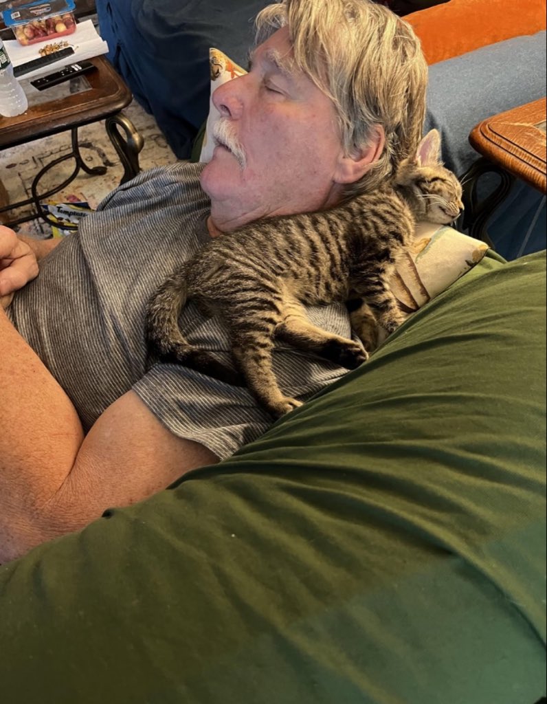 pets4evers's tweet image. No more cats!
This is my husband, who said, “No! No more cats! Absolutely not!” He found Lucy in our tool shed, and she joined our other two cats and our dog.