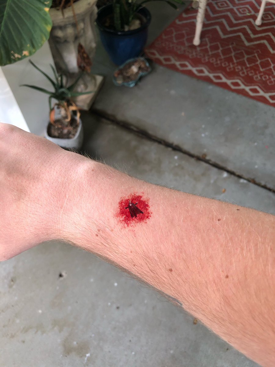 These damn tiny Draculas won’t leave me alone