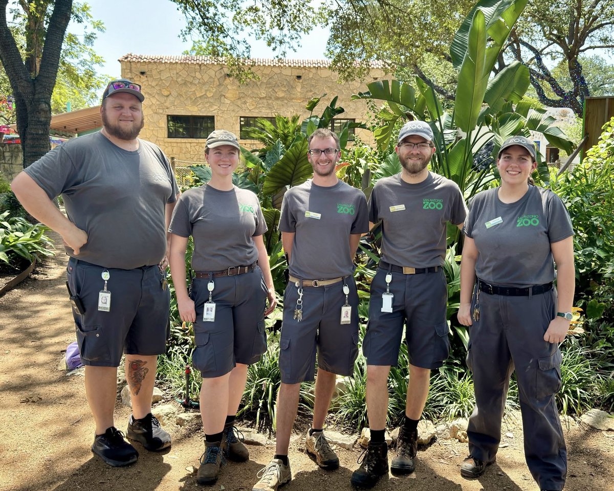 SanAntonioZoo's tweet image. Say hello to the Herpetology team!
This team cares for all of the reptiles and amphibians in the zoo, from tiny poison dart frogs to Boom, the giant Nile crocodile! Thank you for helping keep our cold-blooded friends happy, healthy, and thriving!