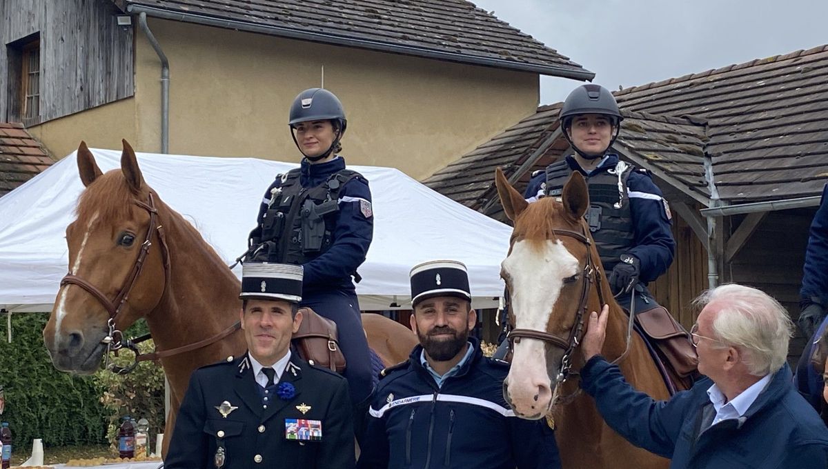 LFPCheval (@lfpcheval) on Twitter photo "Le cheval facilite le contact avec la population" : six chevaux de la Garde républicaine déployés dans l'Yonne cet été
ow.ly/NL2L50WtNab "Le cheval facilite le contact avec la population" : six chevaux de la Garde républicaine déployés dans l'Yonne cet été
ow.ly/NL2L50WtNab