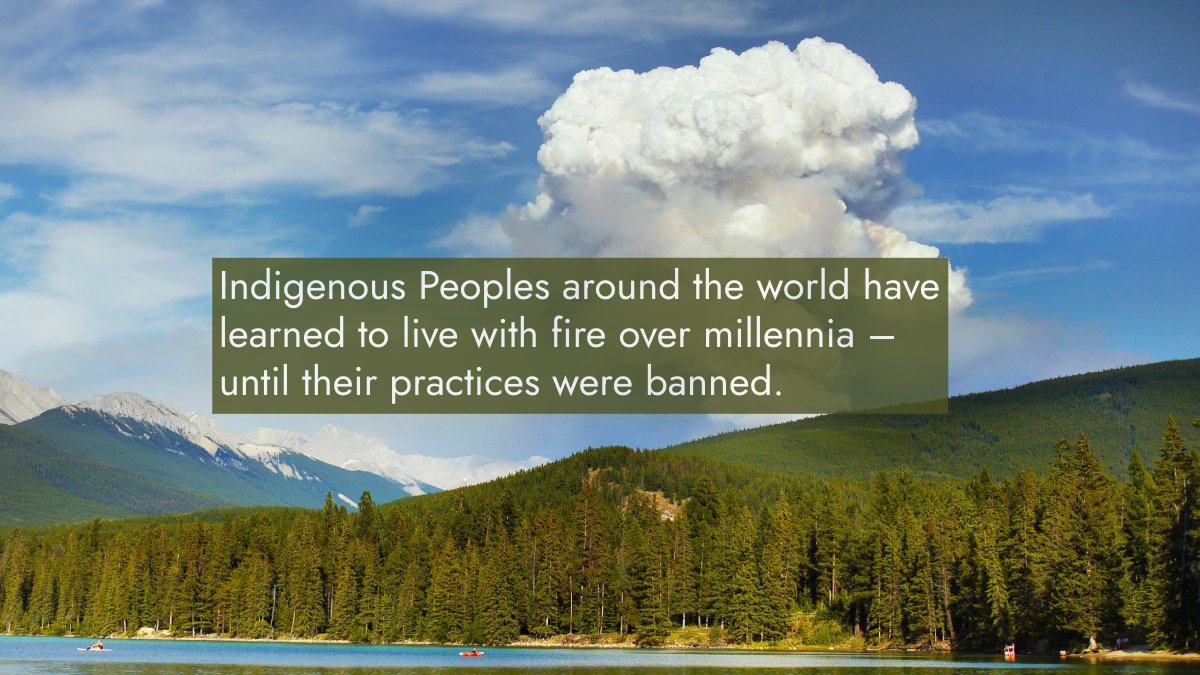 ArcticCouncil's tweet image. 🔥 Cultural burning – and the cascading impacts of banning the practice ❌
🎙️ In our new episode The Arctic on Fire, we look at how banning Indigenous fire practices worsened wildfires, and how they could be part of the solution.
🎧Listen: pod.link/1822773340