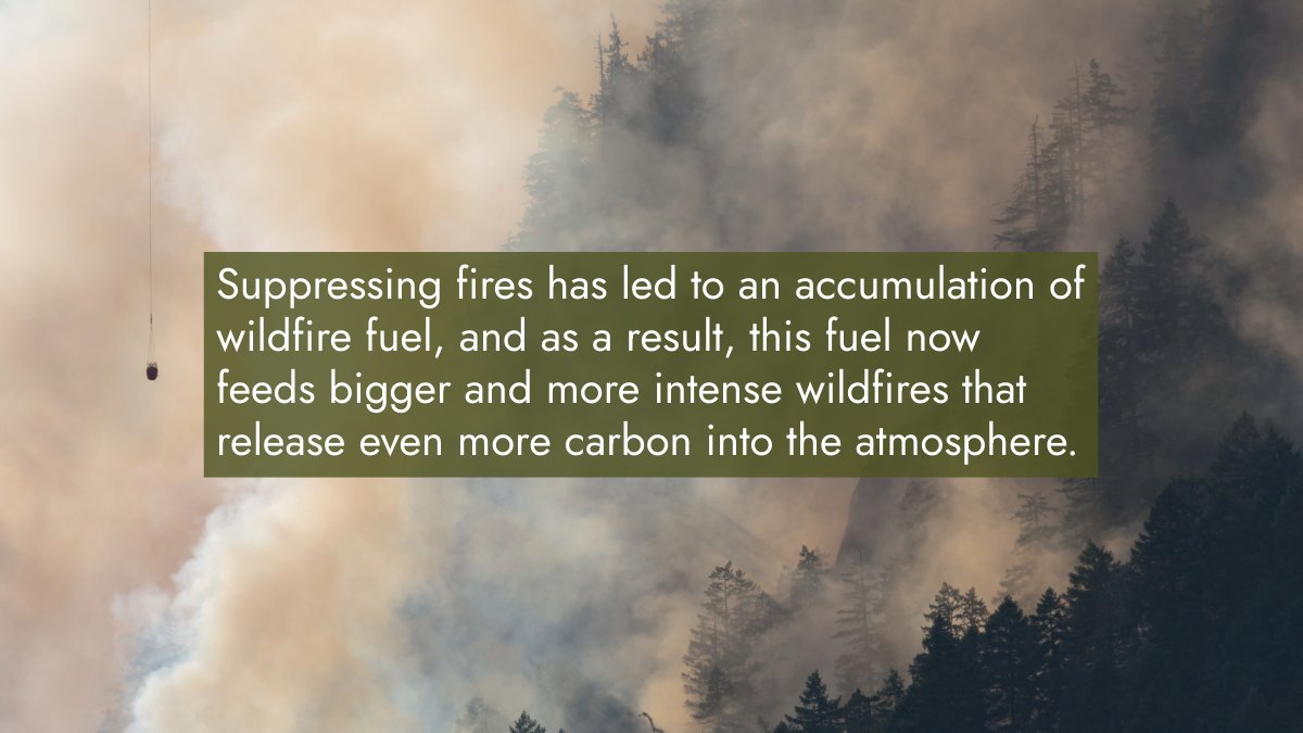 ArcticCouncil's tweet image. 🔥 Cultural burning – and the cascading impacts of banning the practice ❌
🎙️ In our new episode The Arctic on Fire, we look at how banning Indigenous fire practices worsened wildfires, and how they could be part of the solution.
🎧Listen: pod.link/1822773340