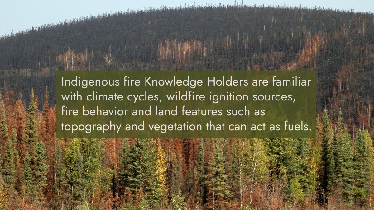 ArcticCouncil's tweet image. 🔥 Cultural burning – and the cascading impacts of banning the practice ❌
🎙️ In our new episode The Arctic on Fire, we look at how banning Indigenous fire practices worsened wildfires, and how they could be part of the solution.
🎧Listen: pod.link/1822773340