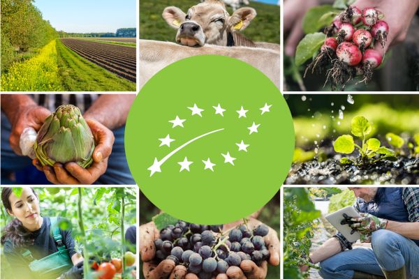 ⏳ Only 2 days left to apply for EGTOP – the EU expert group on organic production!

🌱 Bring your technical expertise to shape EU organic rules.
📅 Deadline: 25 July
🔗 Apply: agriculture.ec.europa.eu/farming/organi…

#EGTOP #EUOrganic #CallForExperts