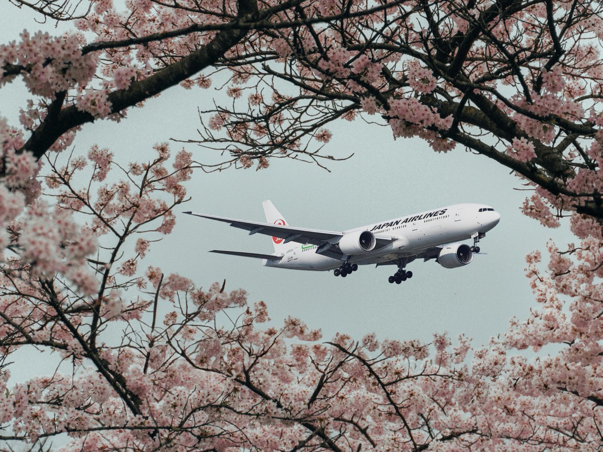 WTTC's tweet image. โ๏ธ๐ฏ๐ต WTTC Member, @JAL_Official_jp is leading the charge in sustainable aviation.
As part of their โFry to Flyโ initiative, JAL operated a flight from Kansai to Shanghai using SAF made from used cooking oil collected across Japan. โป๏ธ๐ข๏ธ
Learn more ๐ bit.ly/4loAVfL