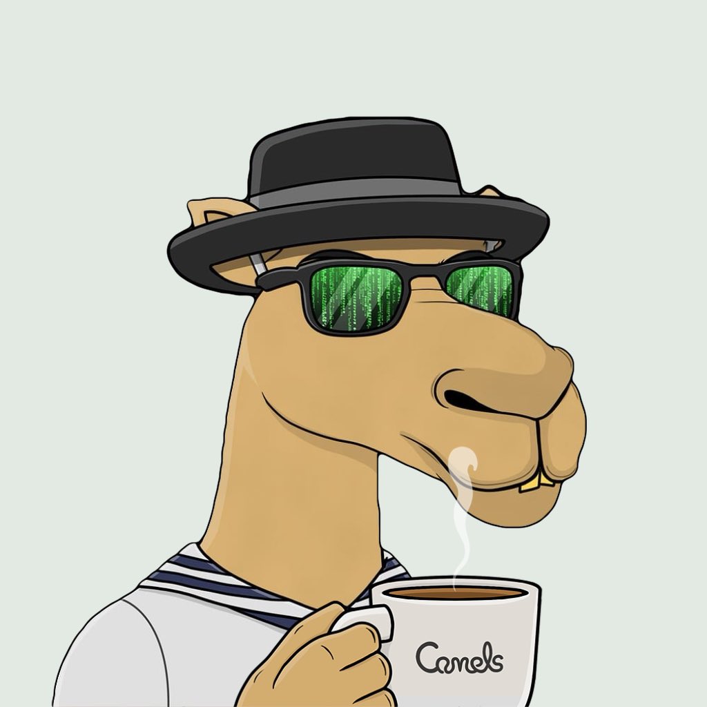 Anton (@antons_profile) on Twitter photo happy hump day everyone 🤟 happy hump day everyone 🤟