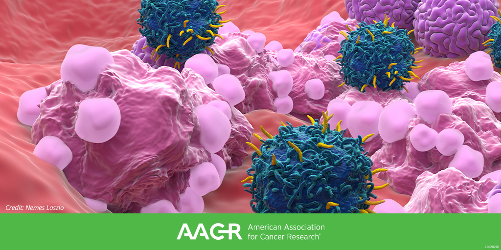AACR's tweet image. Register by August 11 to get the lowest rates for the AACR Conference on Advances in Ovarian Cancer Research (Sept 19-21; Denver), chaired by Ronald Buckanovich, Jung-Min Lee, Elizabeth Swisher, and Oladapo Yeku.
brnw.ch/21wUmTM
#AACRovca25 @BuckanovichLab @SwisherLiz