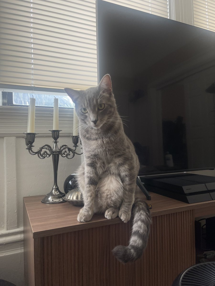 bro sits like L