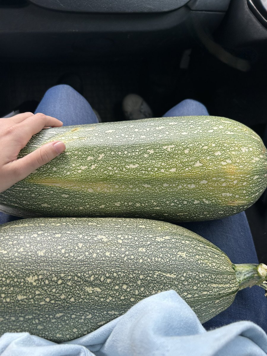 GellenHellen's tweet image. Being a horse vet is fun because old people will sometimes give you big ass squash as a sign of gratitude