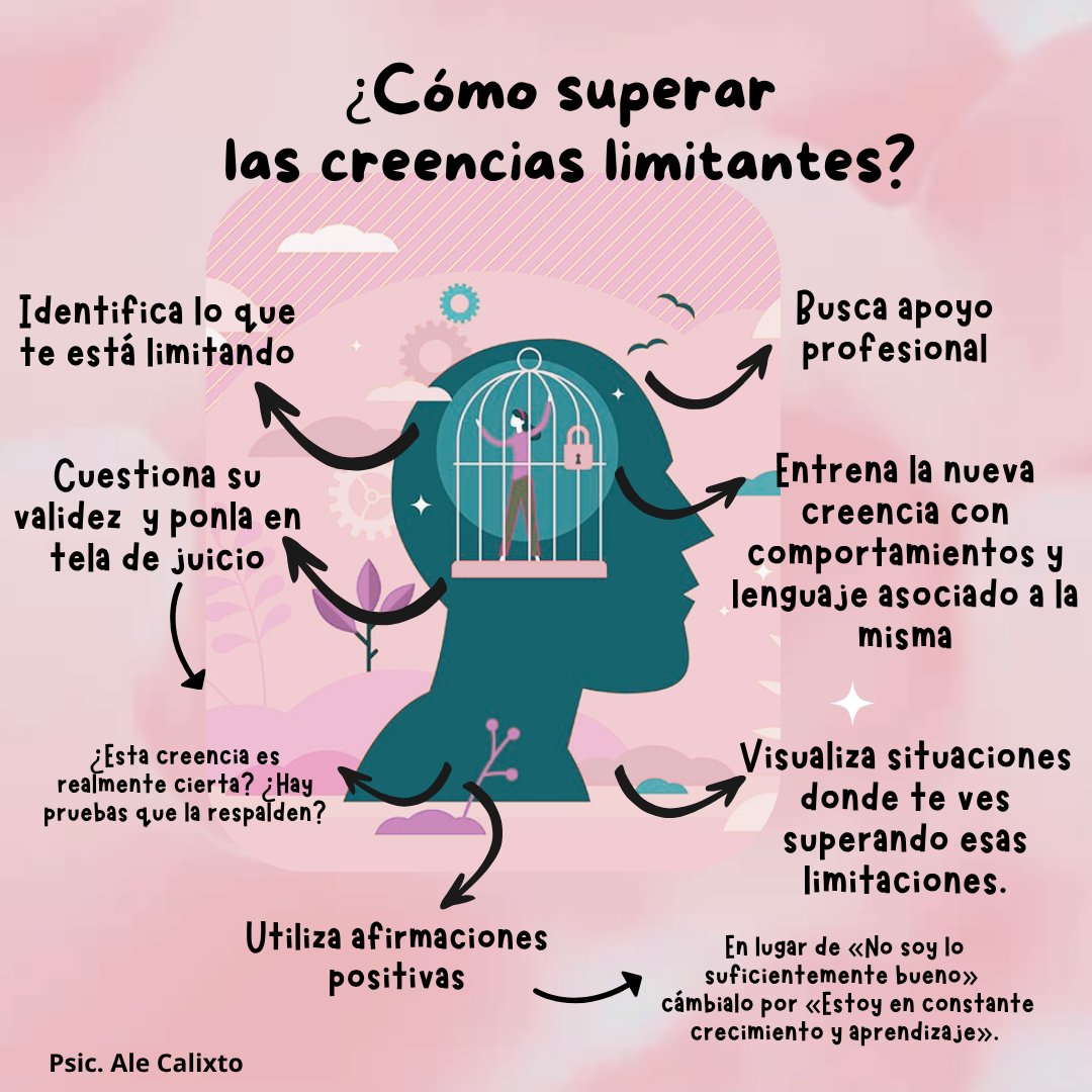 Ale Calixto tweet media