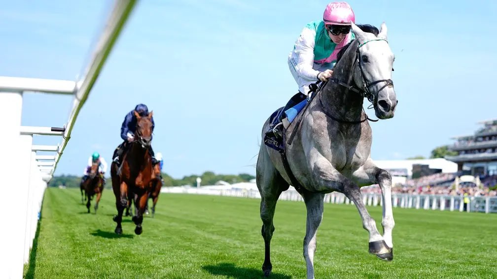 Jaime Salvador (@jaimesgongora) on Twitter photo Acreditado para el King George VI And Queen Elizabeth Stakes (Grupo 1), el sábado en <a href="/Ascot/">Ascot Racecourse</a>, y para el Sussex Stakes (Grupo 1), el miércoles en <a href="/Goodwood_Races/">Goodwood Racecourse</a>. Acreditado para el King George VI And Queen Elizabeth Stakes (Grupo 1), el sábado en <a href="/Ascot/">Ascot Racecourse</a>, y para el Sussex Stakes (Grupo 1), el miércoles en <a href="/Goodwood_Races/">Goodwood Racecourse</a>.