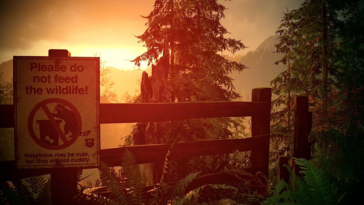 TheMiniestMfn's tweet image. Not for any particular theme but here are some Cauldron Lake captures 🙂
#Remedygames
#alanwake2
#WorldVP
#HiddenGems
#VirtualPhotography