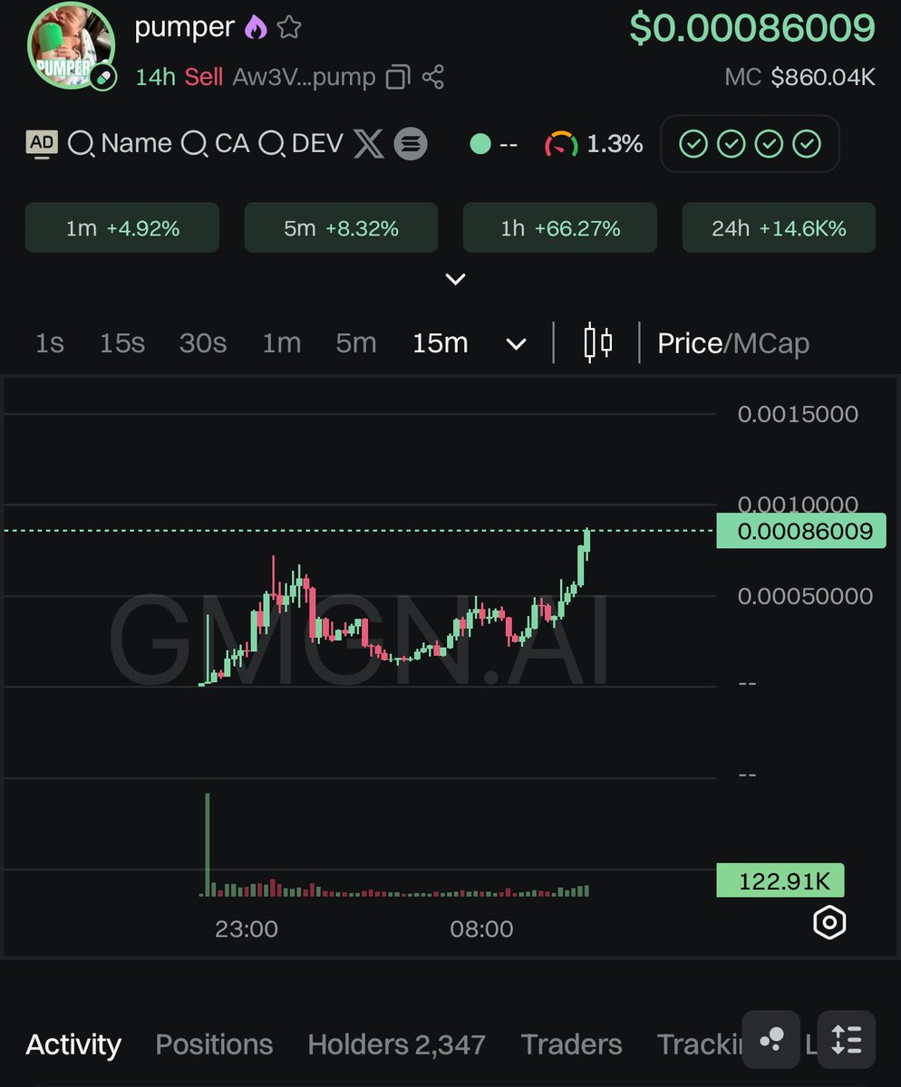 Lil update on $pumper  , lil challenge wallet gone be aight