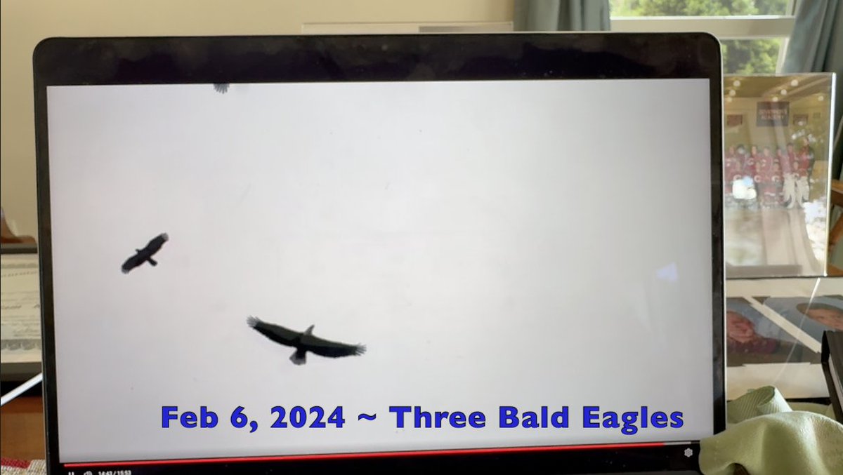 SurfSkiWeather's tweet image. Off The Rails On A TK Crazy Train ~ With Up & Down New England Weather Forecast In Here Somewhere
Out The Door Weather'n More with Steve & T-Rex & TK Wed July 23 '25
Live from The Cape Cod Coliseum ~ TK spending a lot of time looking at ~ and talking about birds ~ Symbolism of…