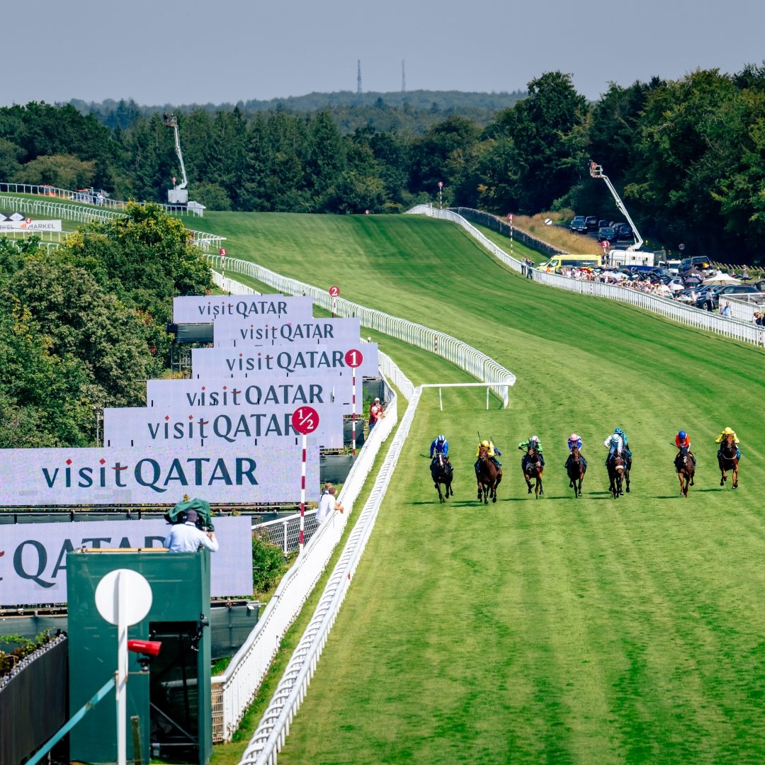 Goodwood_Races's tweet image. Visit Qatar gears up for the first edition as Title Sponsor of The βQatar Goodwood Festival presented by @VisitQatar 2025' π
βΉοΈ Find out more here: bit.ly/4lCp9hO