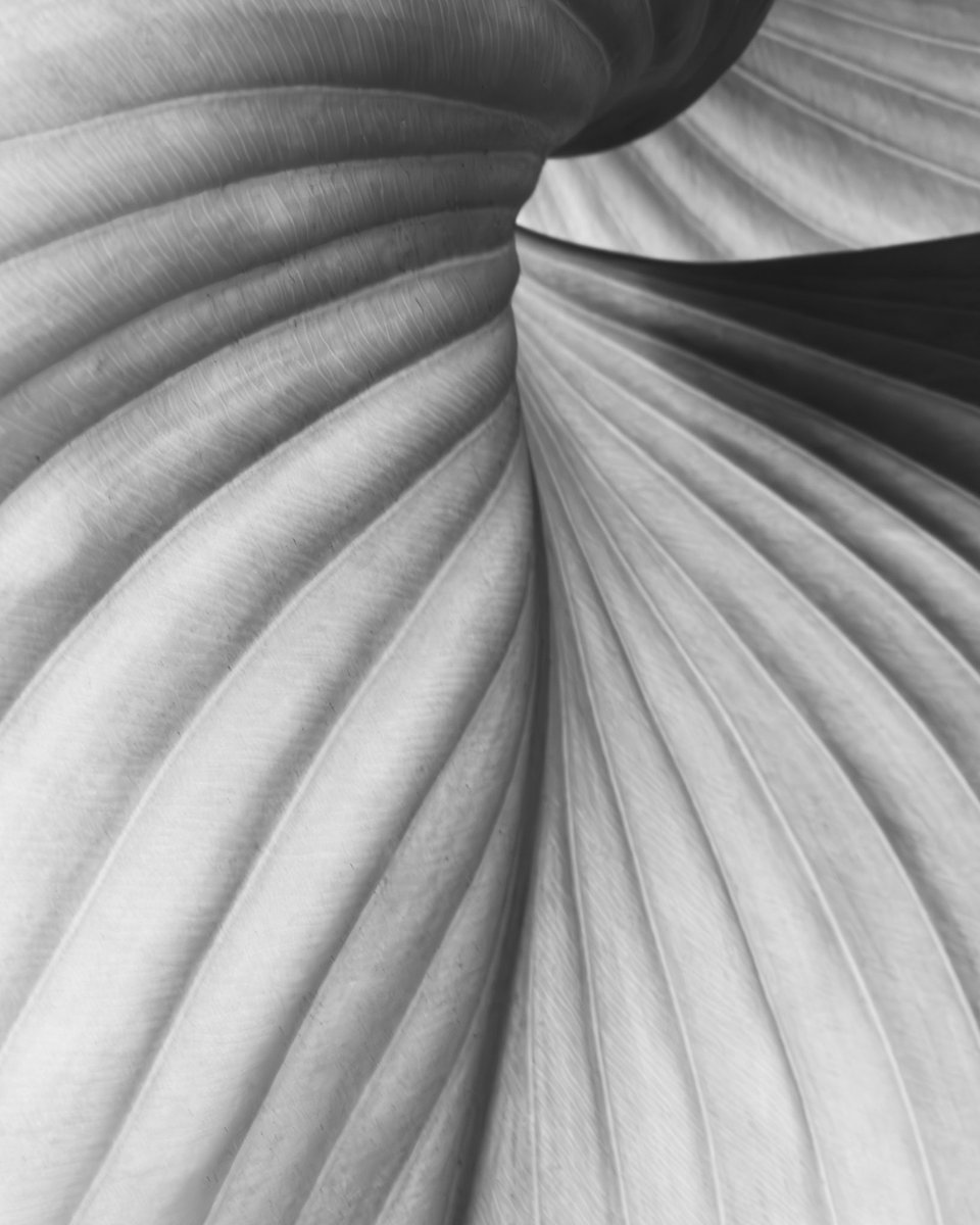 TarainAbstract's tweet image. There’s art.
And then there’s art that makes you feel something