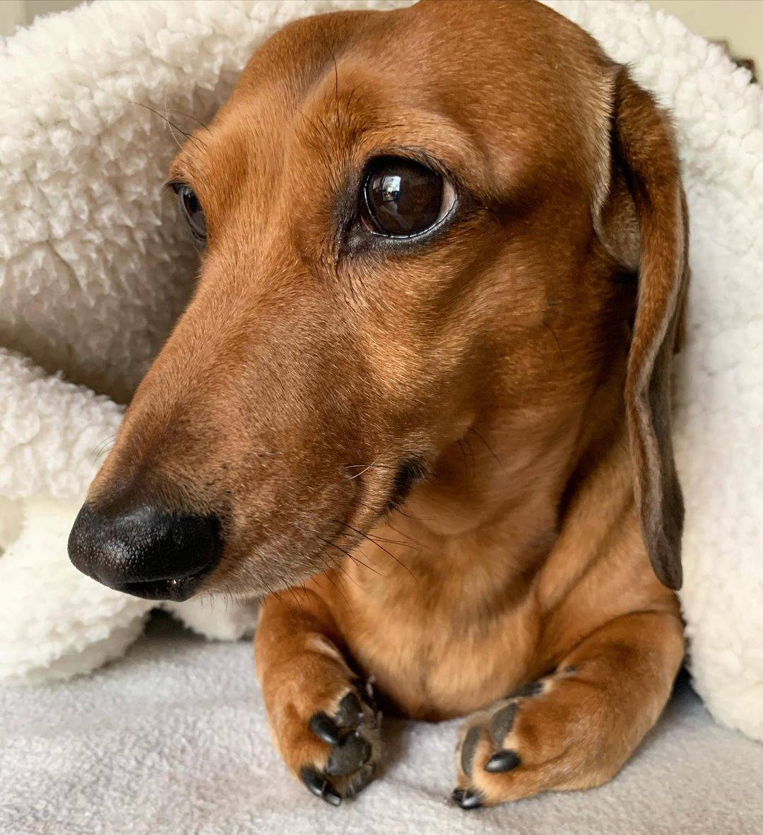 A paz &amp; tranquilidade de quem não tem boletos pra pagar