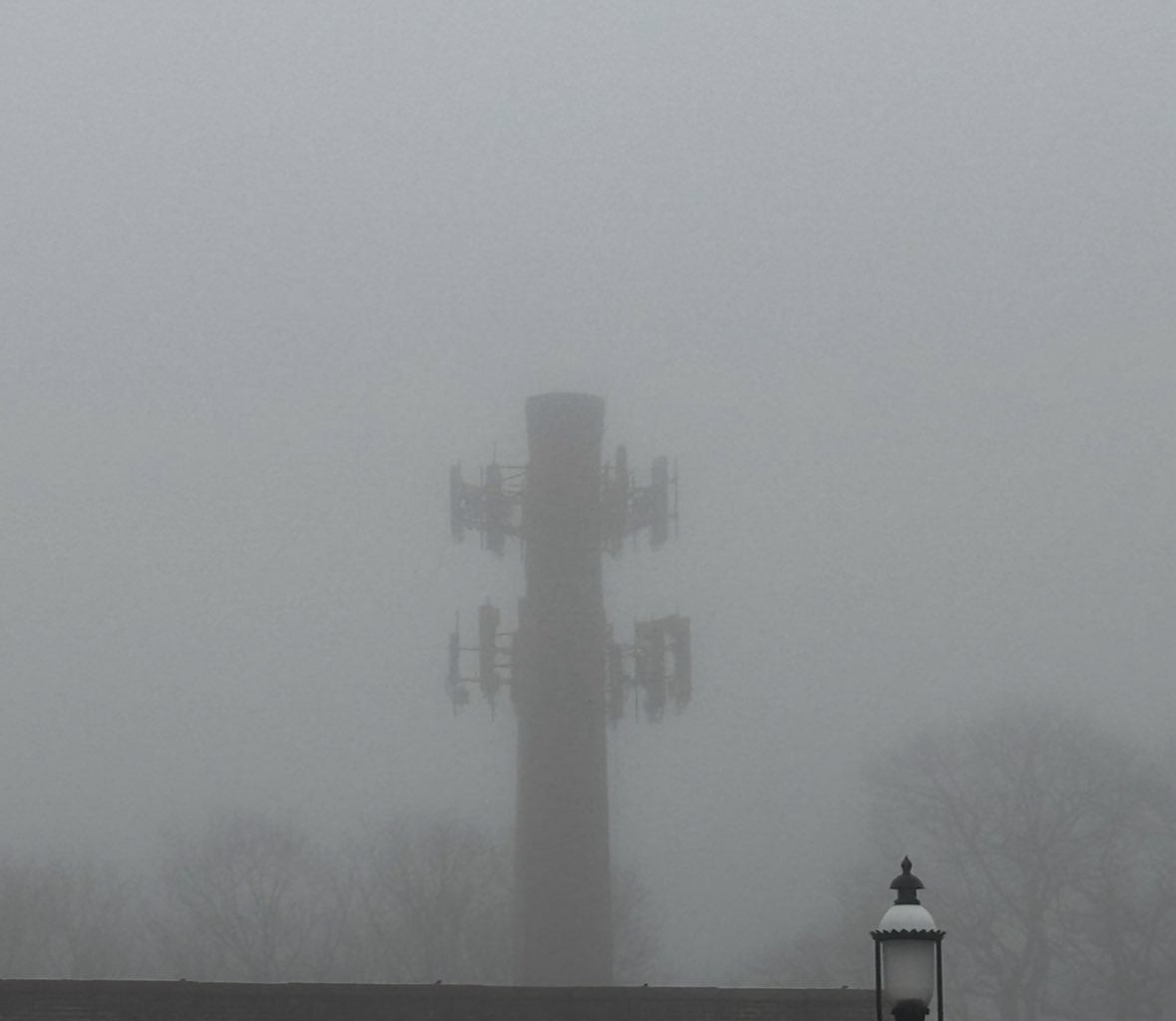 sub__tara's tweet image. They just keep adding more and more and more everywhere in Central Massachusetts… main roads, small neighborhood roads, all over the place. And our cell/internet service gets worse and worse. Why? And why haven’t we been told what all this is for? Have any safety studies been…