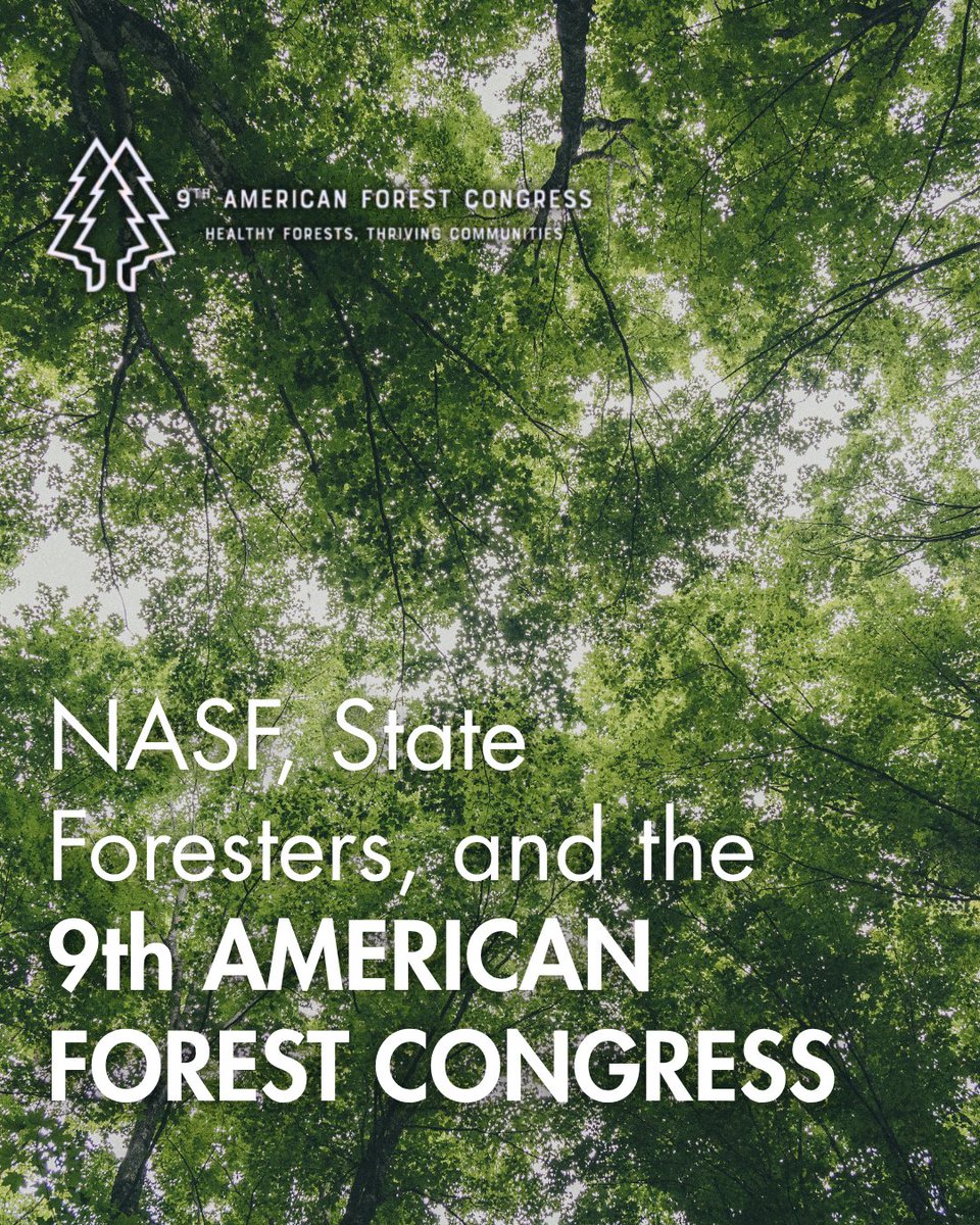 StateForesters's tweet image. State Foresters joined forestry professionals in D.C. last week for the 9th American Forest Congress. Open dialogues and speakers including NASF’s Executive Director led to the passage of Principles and Resolutions, marking an era of change in Forestry. #9AFC2025 #ActForForests