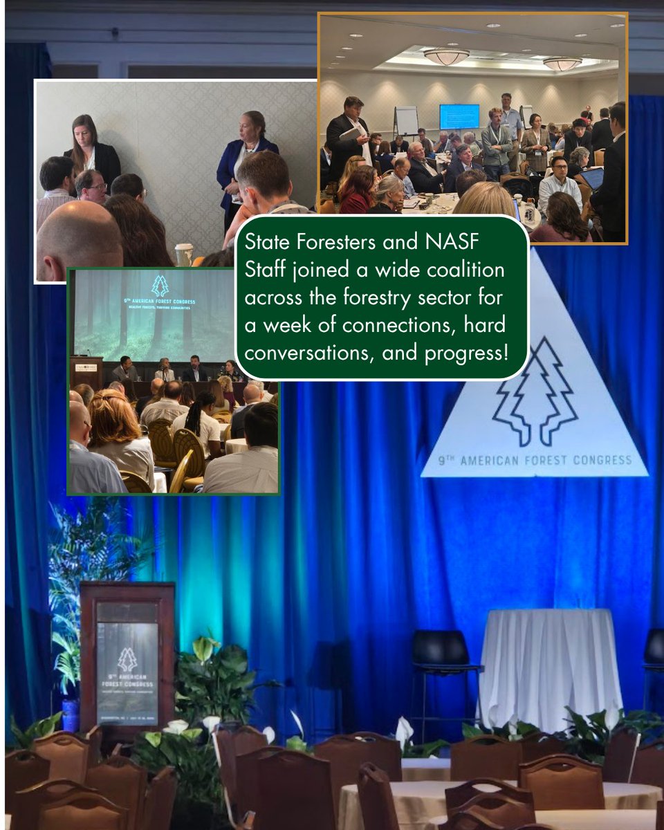 StateForesters's tweet image. State Foresters joined forestry professionals in D.C. last week for the 9th American Forest Congress. Open dialogues and speakers including NASF’s Executive Director led to the passage of Principles and Resolutions, marking an era of change in Forestry. #9AFC2025 #ActForForests