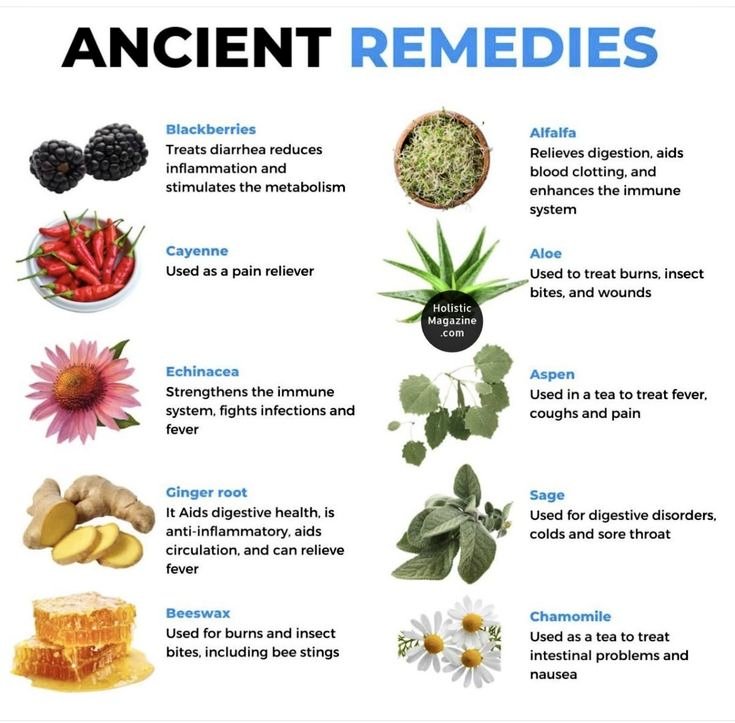 ononoherbals's tweet image. 🚨 ANCIENT REMEDIES
➡️ Blackberries
Treats diarrhea reduces inflammation and stimulates the metabolism
➡️ Cayenne
Used as a pain reliever
➡️ Echinacea
Strengthens the immune system, fights infections and fever
➡️ Ginger root
It Aids digestive health, is anti-inflammatory,…