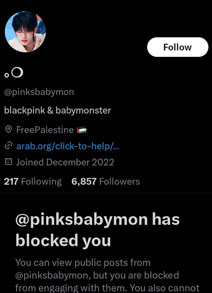 agikodahyunlang's tweet image. It’s disturbing how u treat activism like an accessory “Free 🇵🇸” in bio, donation links posted. yet block any1 who ratios their curated little hate narrative. Is activism just another aesthetic now? a shield for the same behavior u claim to oppose? the hypocrisy reeks.