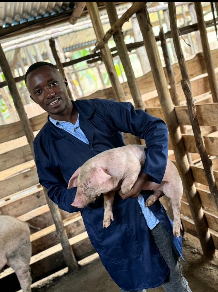 UwaseYves3's tweet image. Youths in agriculture play a big role in transformation by modernizing primitive practices to fit today&apos;s technology. By ensuring that youths are equally empowered the future is good.