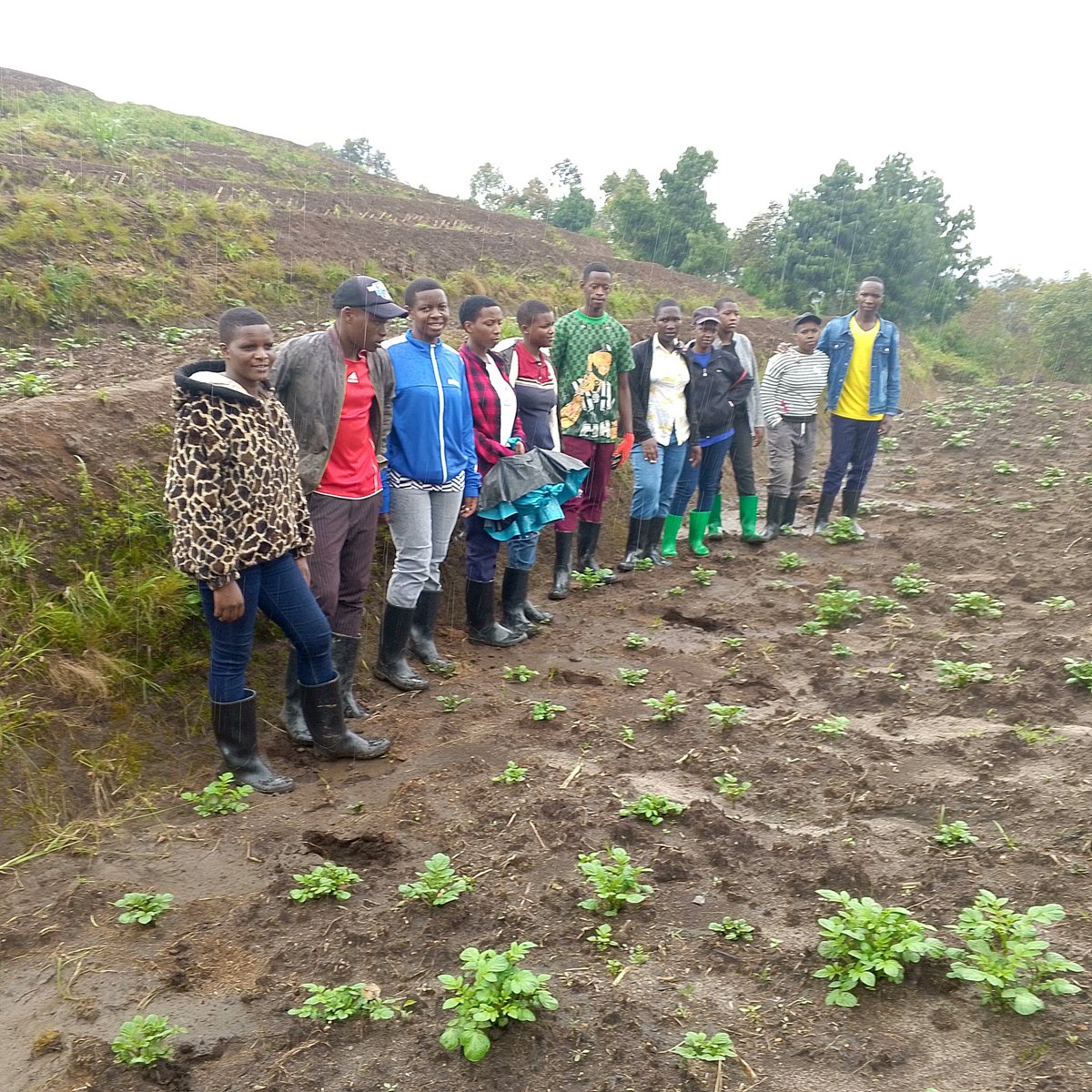UwaseYves3's tweet image. Youths in agriculture play a big role in transformation by modernizing primitive practices to fit today&apos;s technology. By ensuring that youths are equally empowered the future is good.