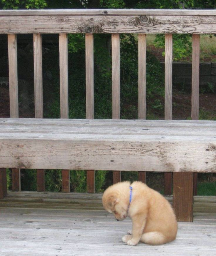 woofgonecrazy's tweet image. when you’re getting to the point in the convo where they start using one word answers so you know its over