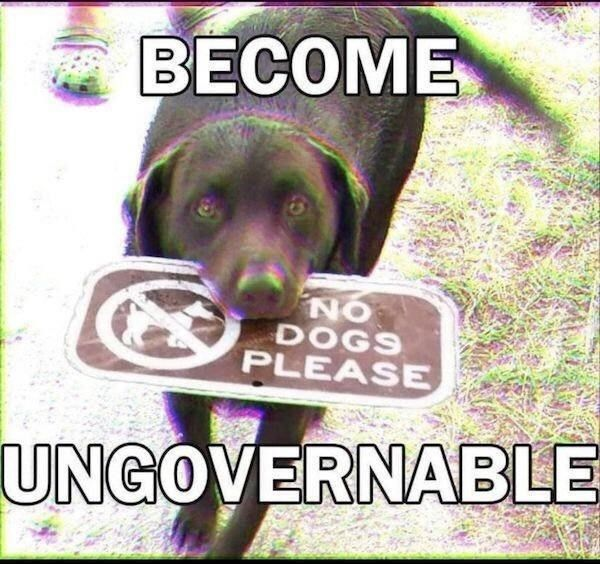 🇮🇪☘️ 𝕲𝖆𝖊𝖑𝖎𝖈 𝕱𝖚𝖙𝖚𝖗𝖎𝖘𝖙 ☘️🇮🇪 (@gaelicfuturist) on Twitter photo 