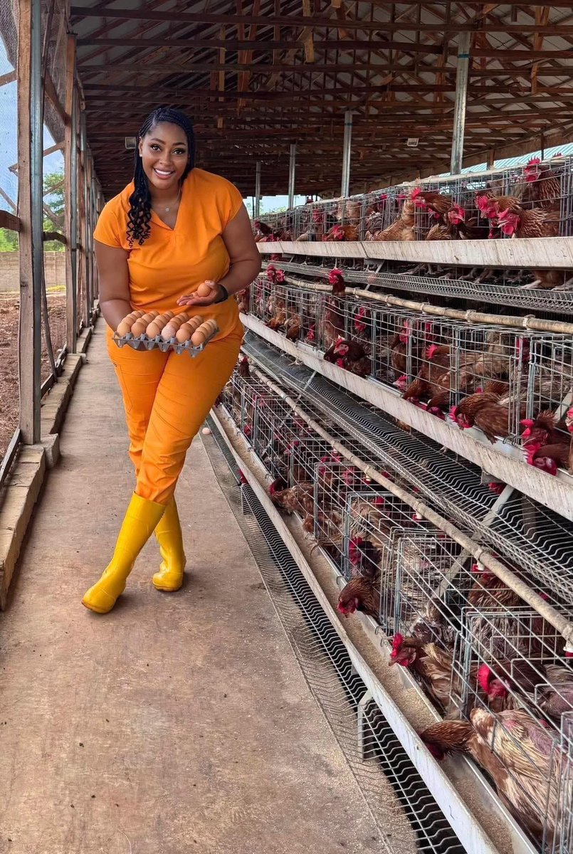 Lee_Fabricee's tweet image. What is stopping you from starting a poultry farm today?