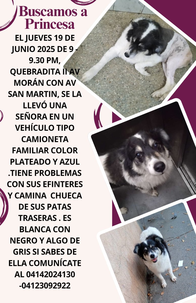 PilarRequena7's tweet photo. Luego de un mes te sigo buscando mi princesa.ayudenme a difundir https://t.co/rxtiTOT8GU