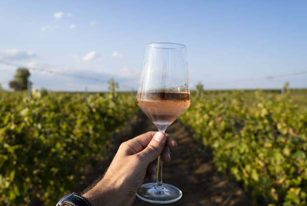 From a small town with big dreams to watching the sunset from my own vineyard. It wasn't luck, it was relentless execution.