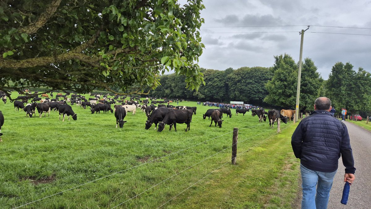 David Kerr (@davidkerr67) on Twitter photo Focus on what's in our control and ignore the uncertainty. Top class farms . <a href="/IrishGrassland/">Irish Grassland Association CLG (IGA)</a> Top class job. Focus on what's in our control and ignore the uncertainty. Top class farms . <a href="/IrishGrassland/">Irish Grassland Association CLG (IGA)</a> Top class job.