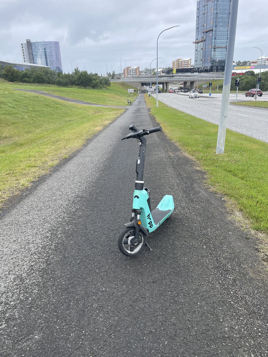 Verst lagða rafskútan (@verstlagda) on Twitter photo 