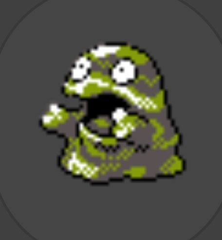 DylanDyylas's tweet image. "why is grimer one of your favorite pokemon"
his gen 2 sprite just wants uppies