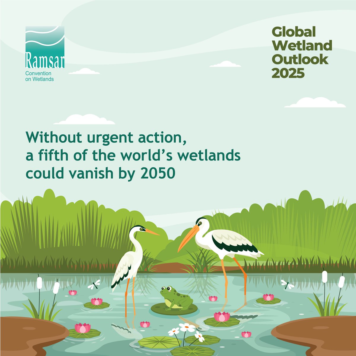 UN_Water's tweet image. Wetlands, vital to life on Earth, are disappearing faster than any other ecosystem.
The #GlobalWetlandOutlook2025 warns that without urgent action, 1/5 of remaining wetlands could vanish by 2050—an ecological loss with major social and economic impacts. buff.ly/W0s5KIe