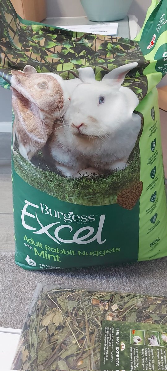 SNORSSanctuary's tweet image. A massive THANK YOU to Karen Anne Hare ❤️ and Gillian Gilbert ❤️ for these wonderful donations from our The Hay Experts wishlist.