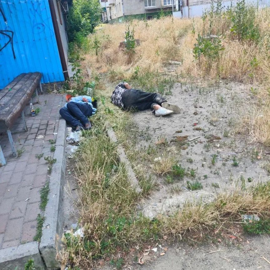 veraizmaylova41's tweet image. Мы самый великий и гордый народ,
нас правильный парень по жизни ведет
на ём 0xyительный синий пиджак
он строгий,он знает,что так, что не так
Скажи нам,скажи нам,большой человек
Какого мы месим то слякоть, то снег?
Скажи, почему нам не видно ни зги?
- ИДИТЕ ЗА МНОЙ,НЕ ЕБИТЕ МОЗГИ