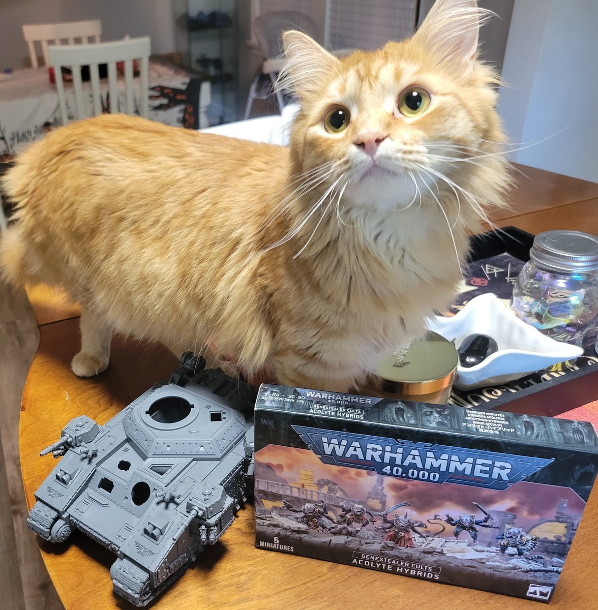 Traveling for work this week so

Enjoy nunu