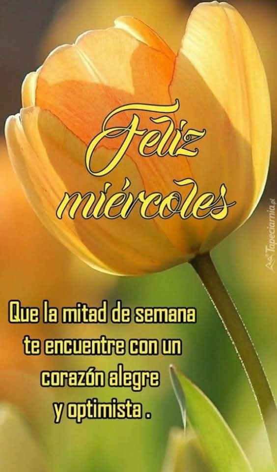 yoli_gotitaymar's tweet image. ☀️🫶☀️🫶☀️🫶☀️🫶
☀️🫶☀️🫶☀️🫶☀️🫶
Ser positivo atrae cosas buenas en tu vida y en tu persona , eres más optimista y tu salud es más sana .
#BuenosDías
#FelizMiércoles
☀️🫶☀️🫶☀️🫶☀️🫶
☀️🫶☀️🫶☀️🫶☀️🫶