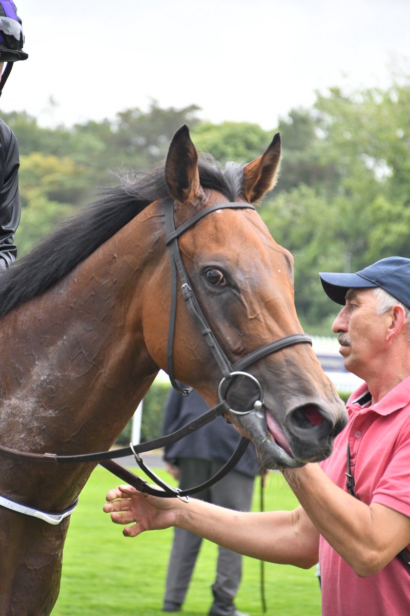PCequinephoto's tweet image. Red Earth trained by @fozzystack is a winner @NaasRacecourse 23/7/25 @IrishRacing7