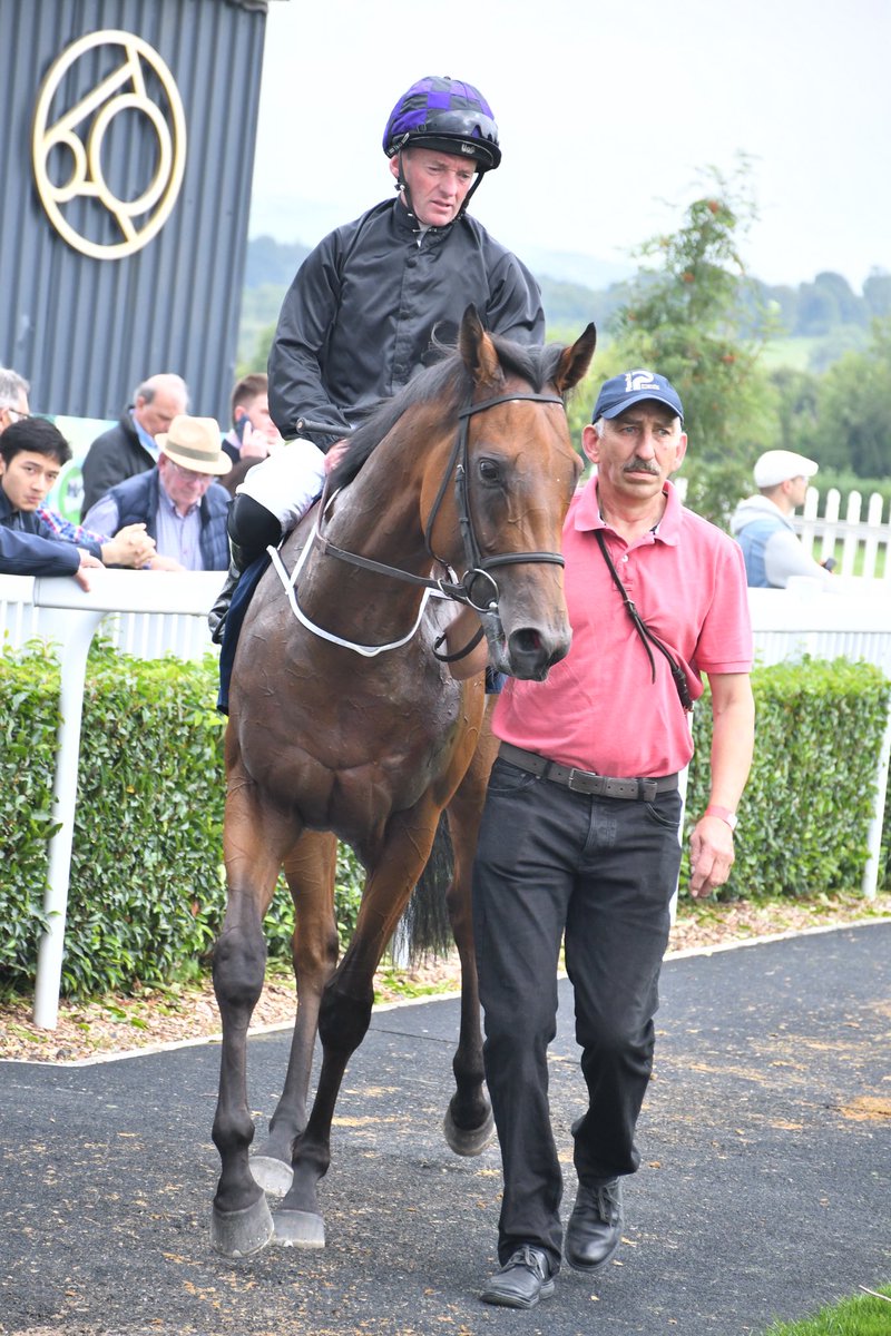 PCequinephoto's tweet image. Red Earth trained by @fozzystack is a winner @NaasRacecourse 23/7/25 @IrishRacing7