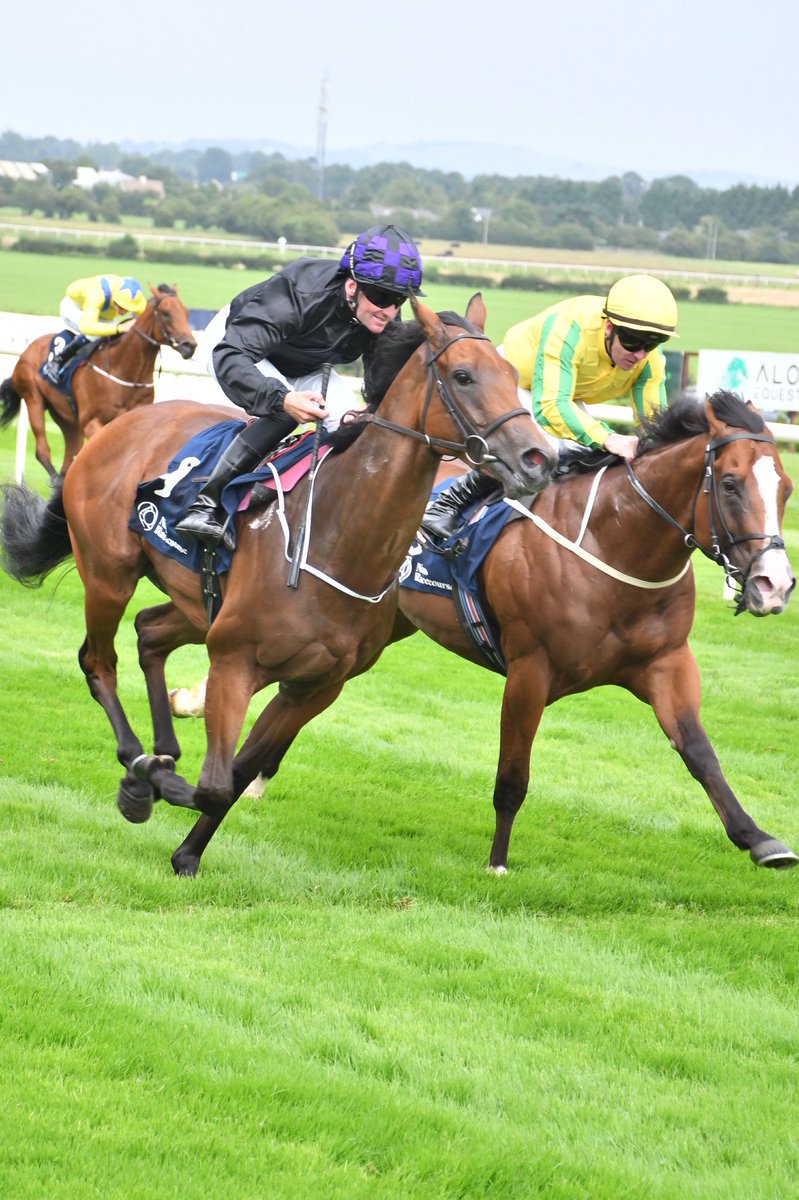 PCequinephoto's tweet image. Red Earth trained by @fozzystack is a winner @NaasRacecourse 23/7/25 @IrishRacing7